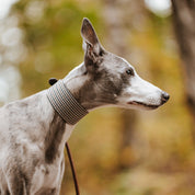 Houndstooth Dog Collar Wide