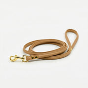 Brown Dog Lead