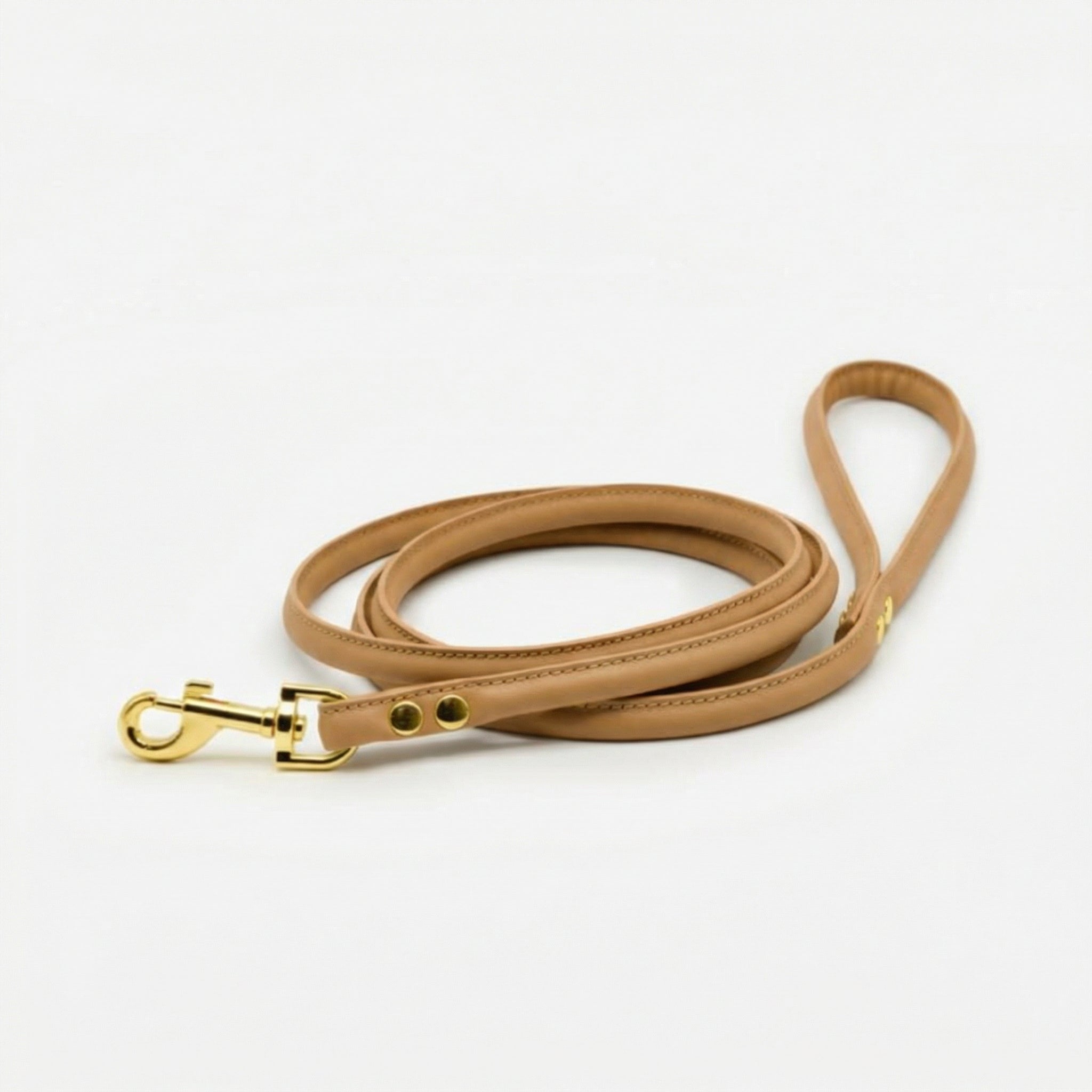 Brown Dog Lead