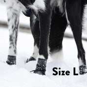 Dog Socks - 4 pack