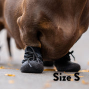 Dog Socks - 4 pack