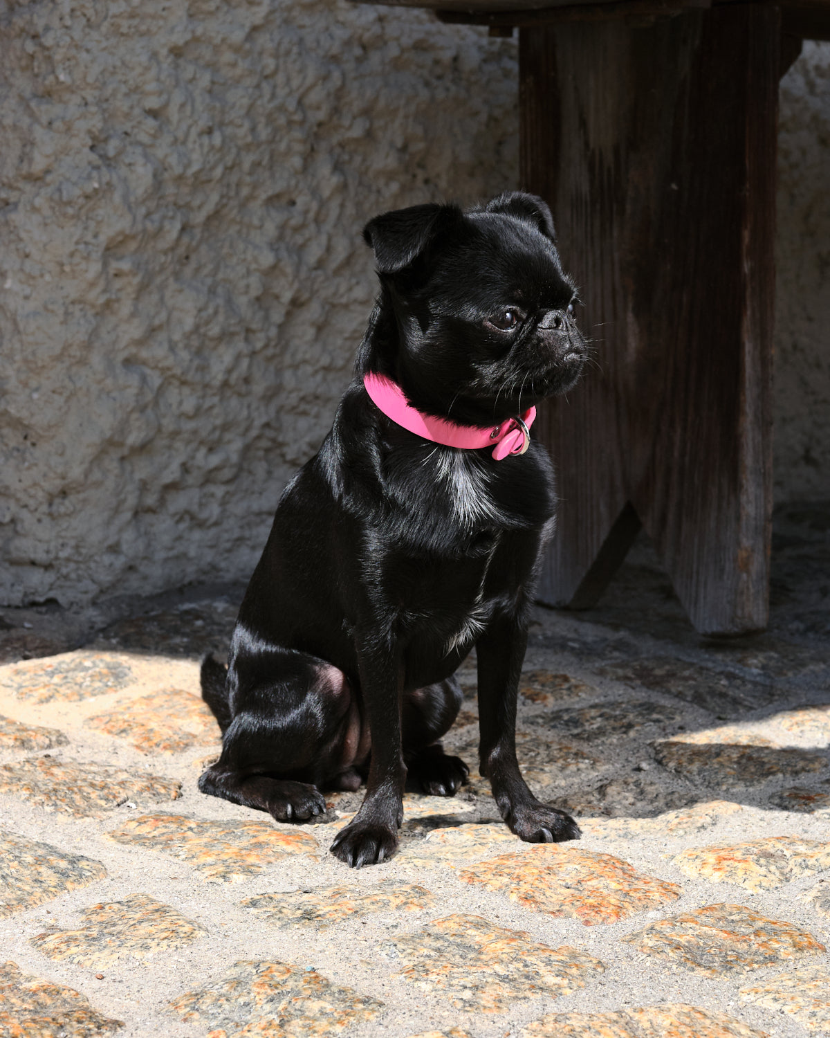 Glossy Pink Dog Collar Thin