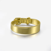 Gold Metallic Dog Collar Thin