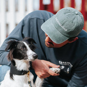 Green Denim Cap - The Dogfather