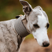 Houndstooth Dog Collar Wide