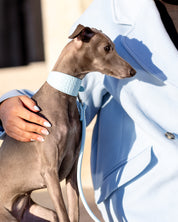 Baby Blue Dog Lead