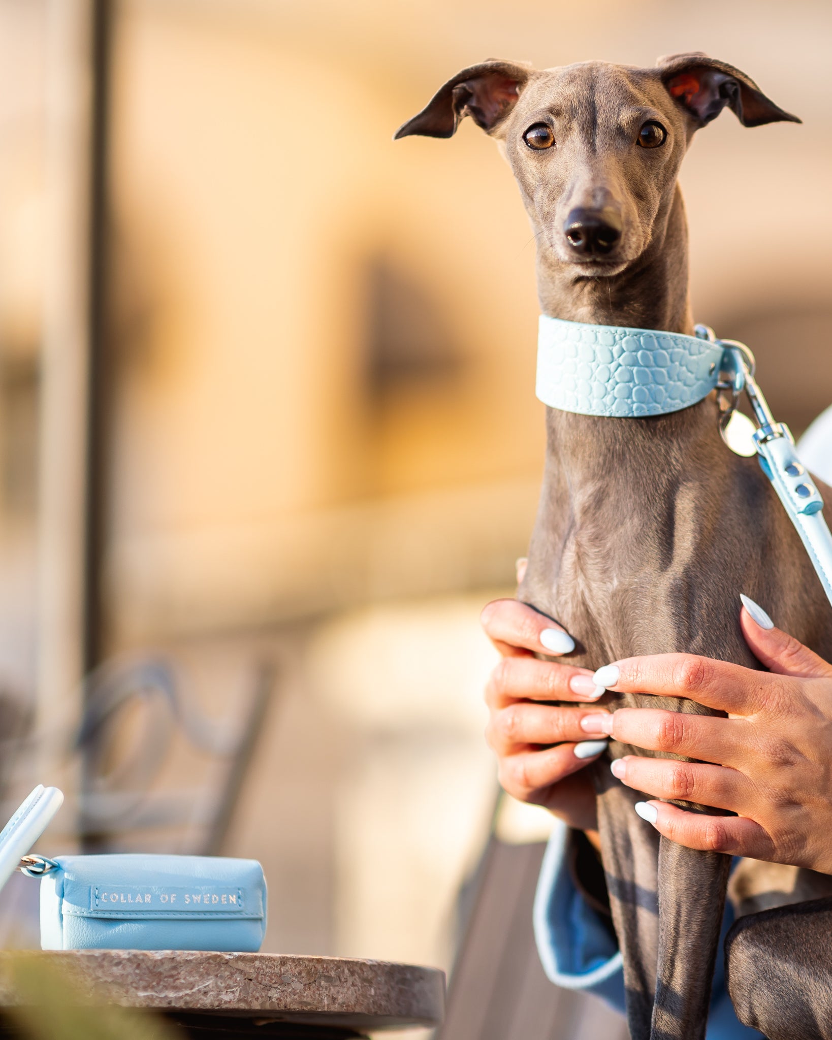Baby Blue Poop Bag Holder