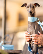 Baby Blue Poop Bag Holder