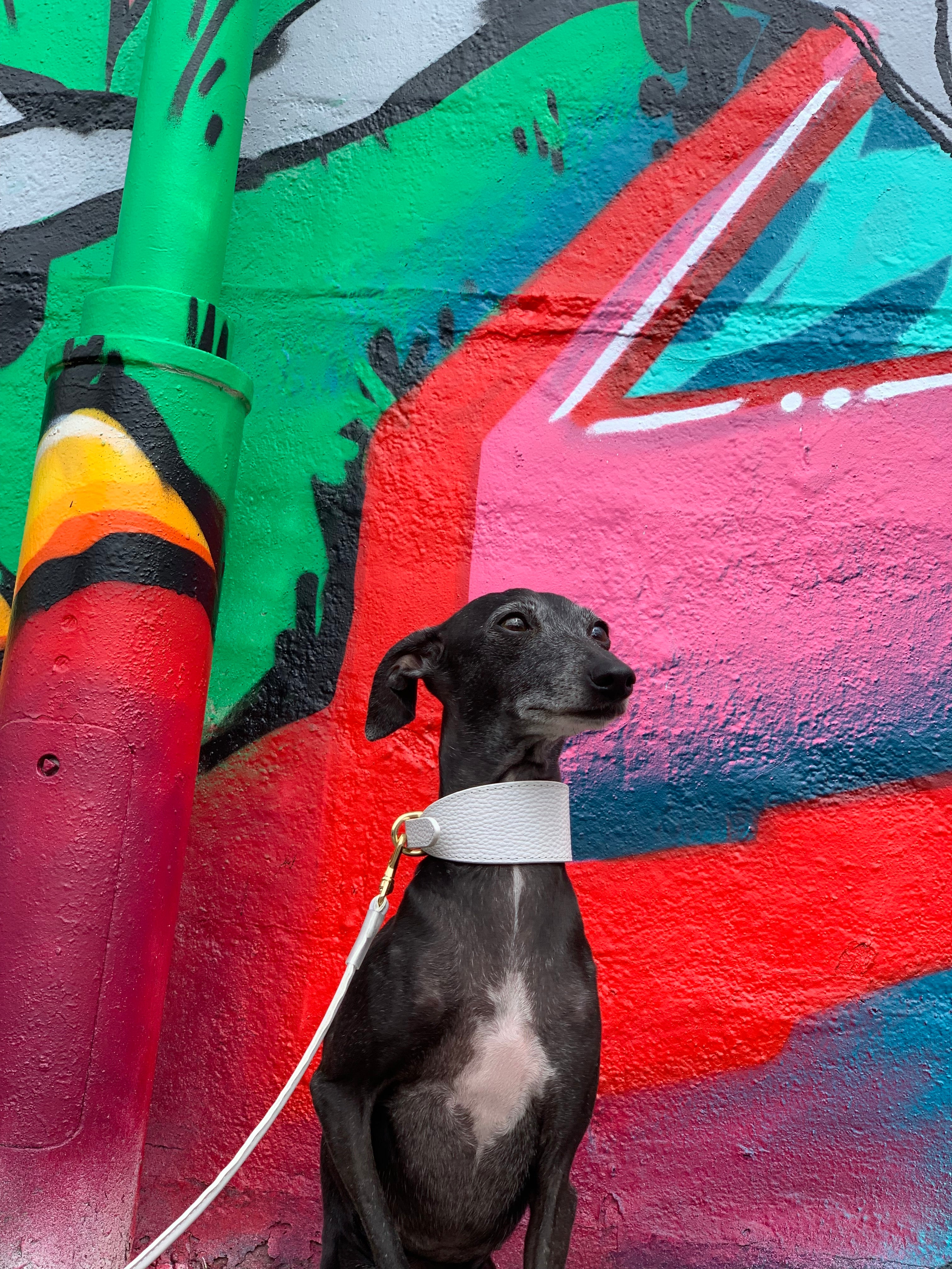 White Dog Lead