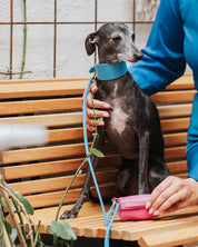 Neon Blue Dog Lead