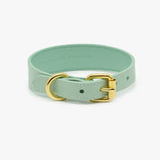 Mint Dog Collar Thin