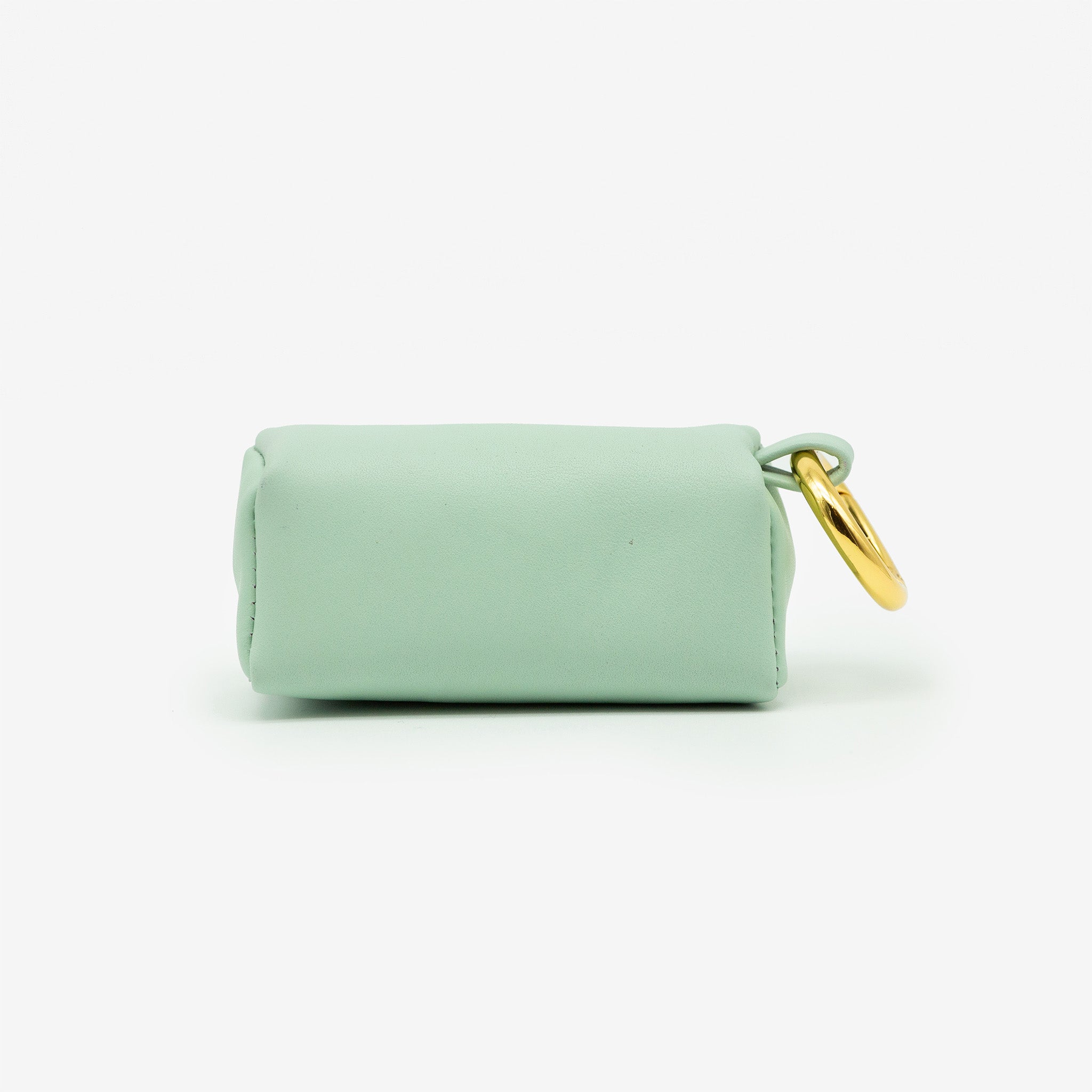 Mint Poop Bag Holder