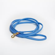 Neon Blue Dog Lead