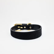Panther Dog Collar Thin