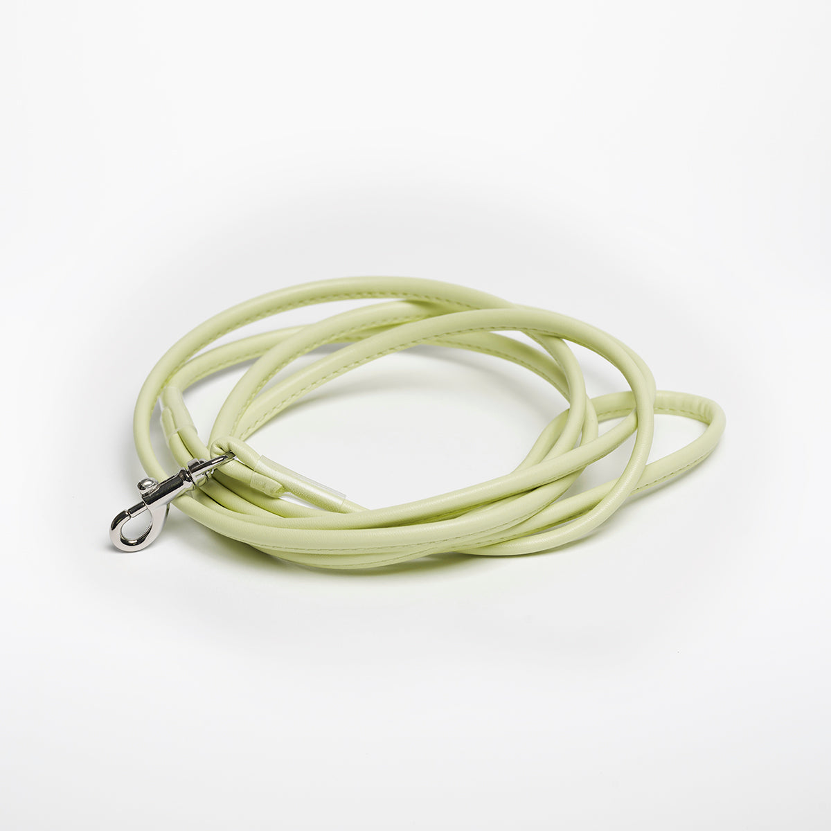Pastel Green Dog Lead