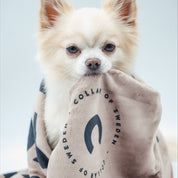 Paw Towel