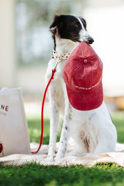 Red Denim Cap - My Dog Is My Shrink