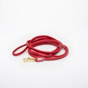 Red Dog Lead