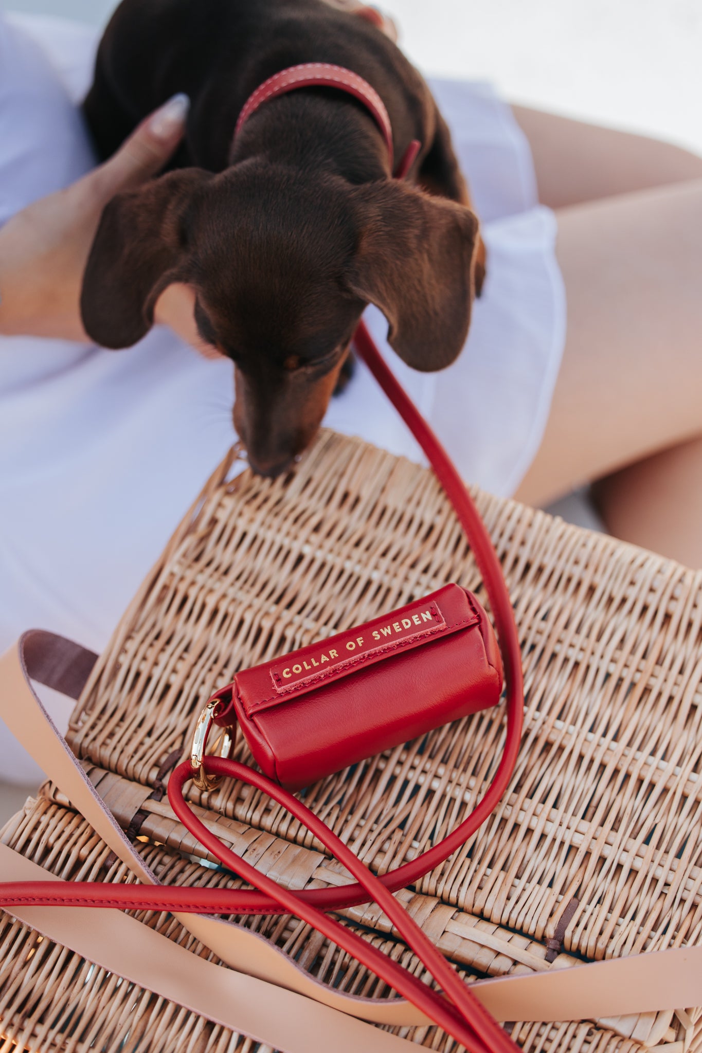 Red Poop Bag Holder