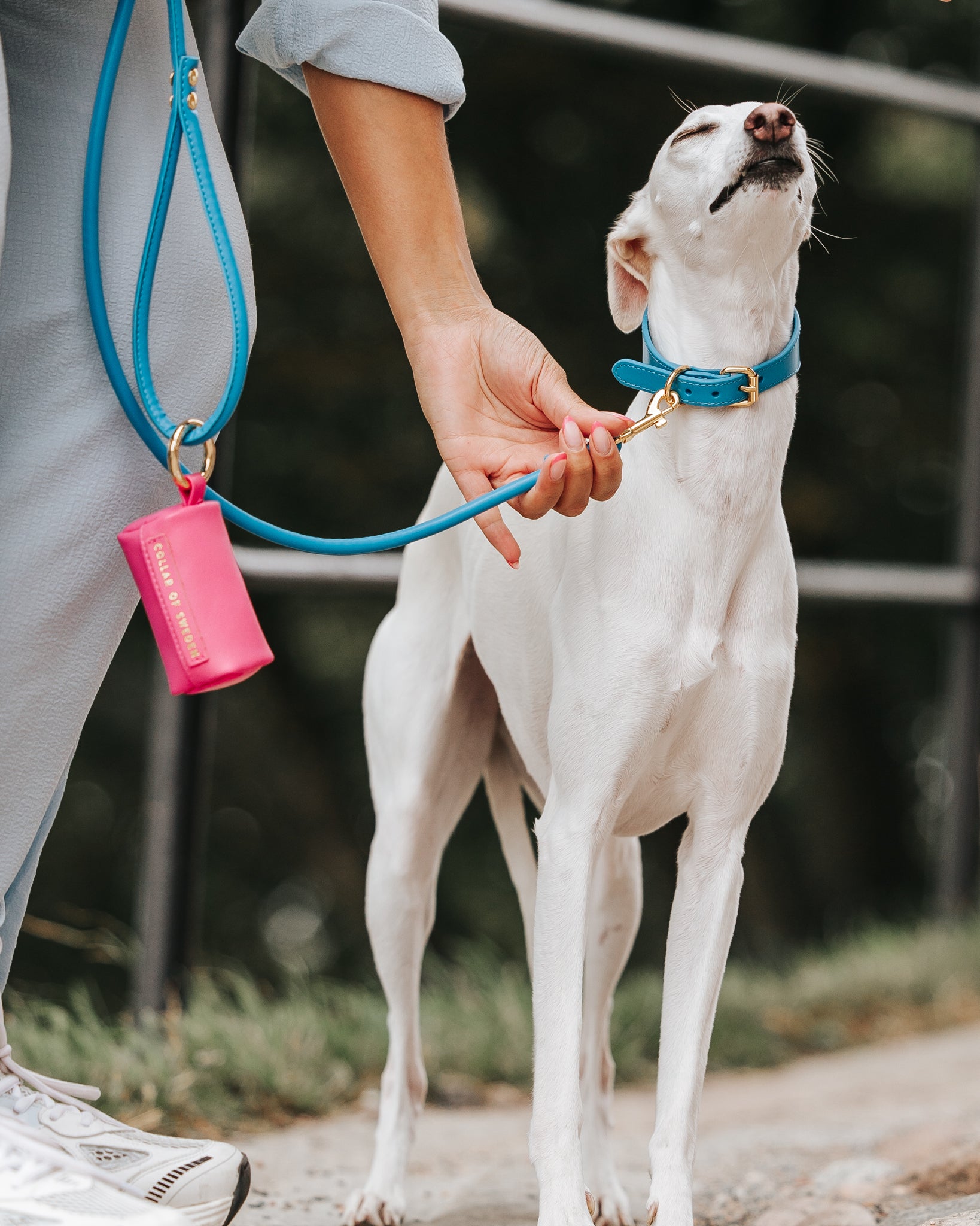 Neon Blue Dog Lead