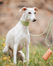 Pastel Green Dog Lead