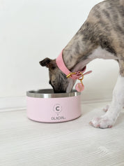 Light Pink Dog Bowl