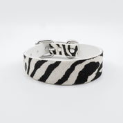 Zebra Dog Collar Thin
